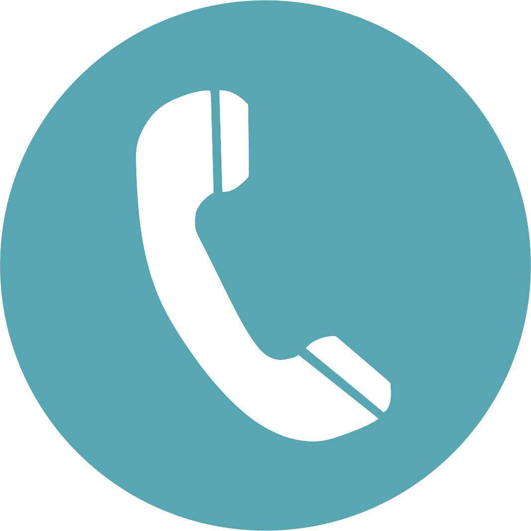 Phone Icon